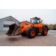 Doosan DL 300