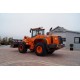 Doosan DL 300