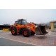 Doosan DL 300