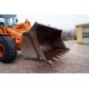 Doosan DL 300