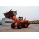 Doosan DL 300