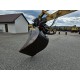Caterpillar 311 FL RR