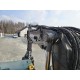 Volvo EW 160 E
